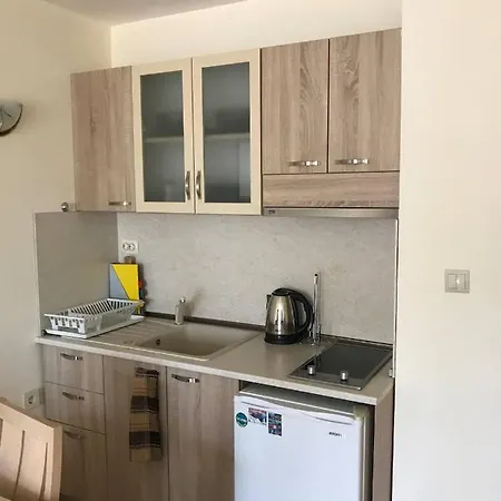 Apartment Sirena Sea View *